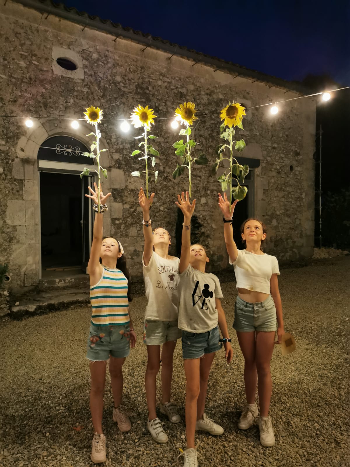 In this image four young girls are posing by a rustic cottage bedecked with outdoor lighting fixings, looking up from visi...
